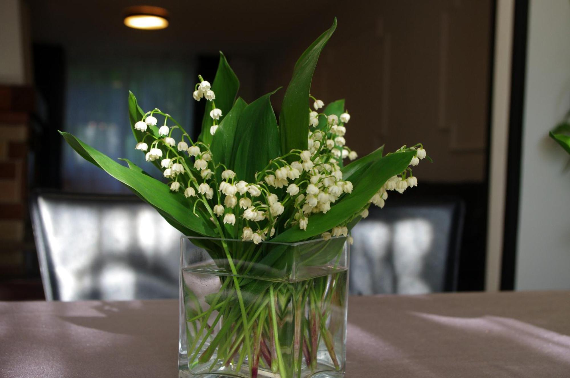 Private House 2km From Old Town * Riga