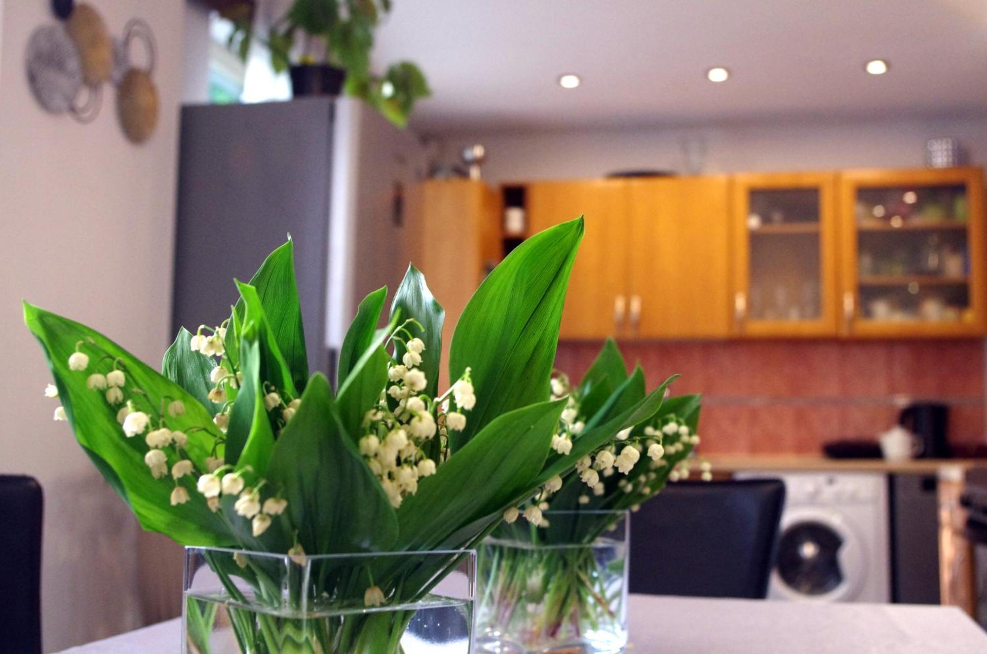 Private House 2km From Old Town