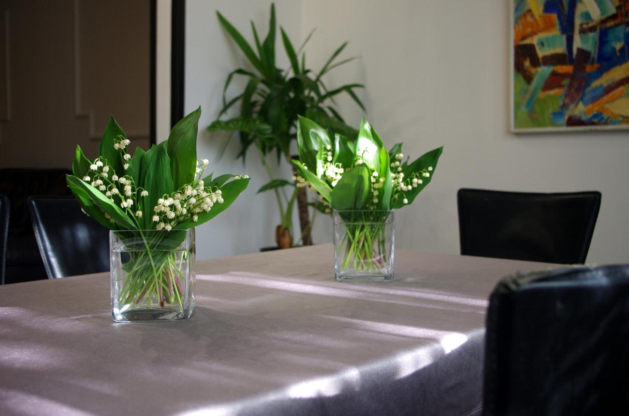 Private House 2km From Old Town *