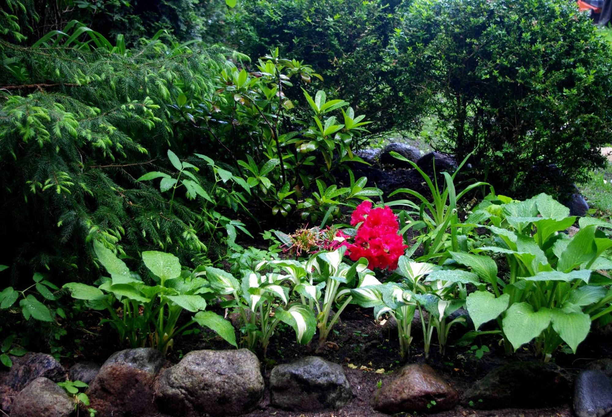 度假居 Private House 2km From Old Town